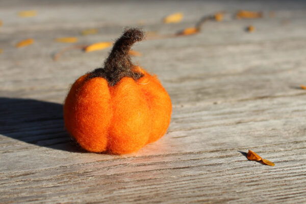 Needle felt pumpkin sitting on wood surface