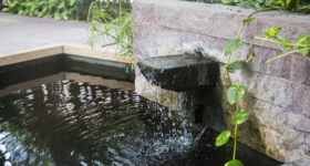 Sustainability on Campus