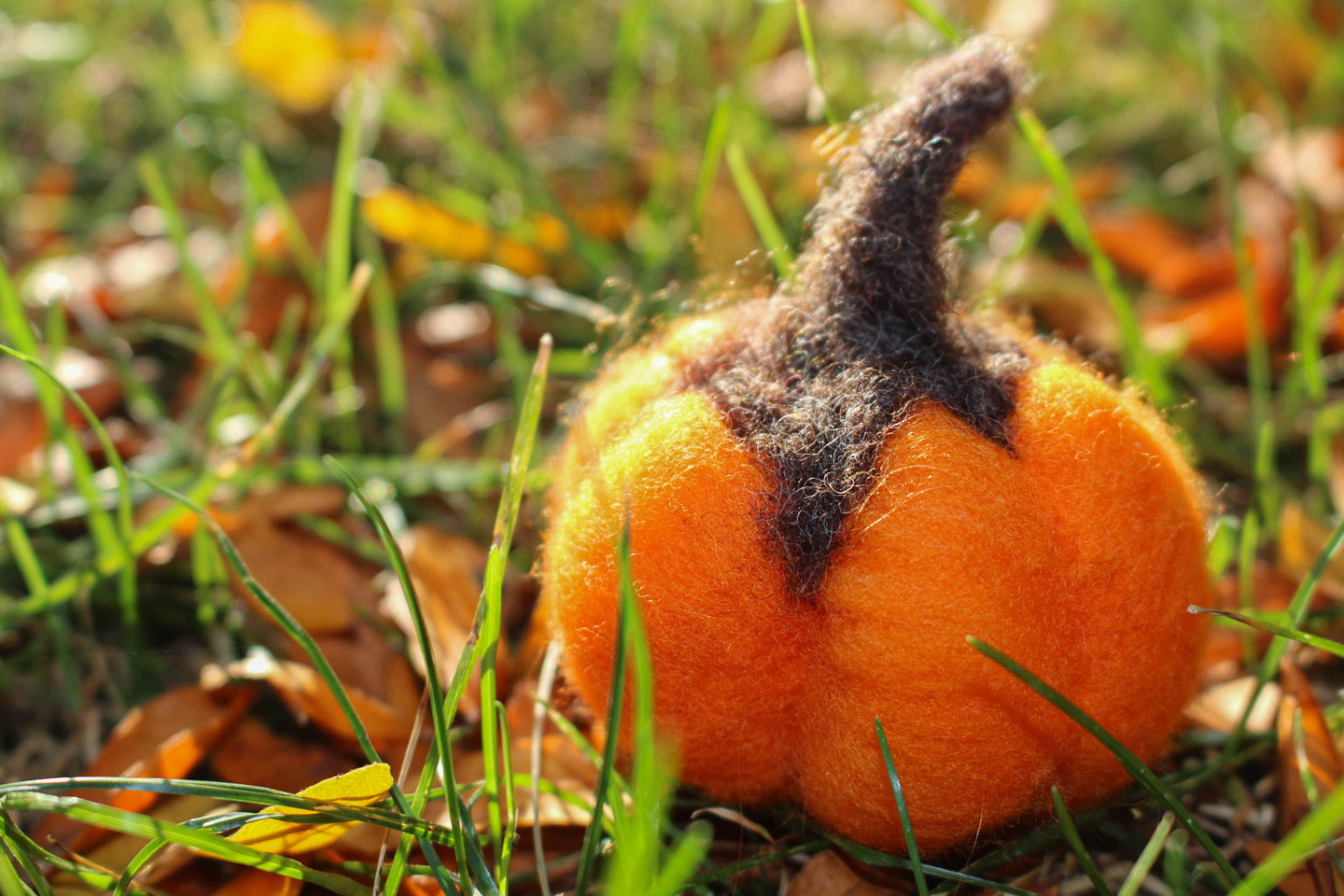 Needle-felted pumpkin in grass